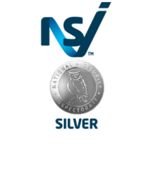 NSI Silver Logo